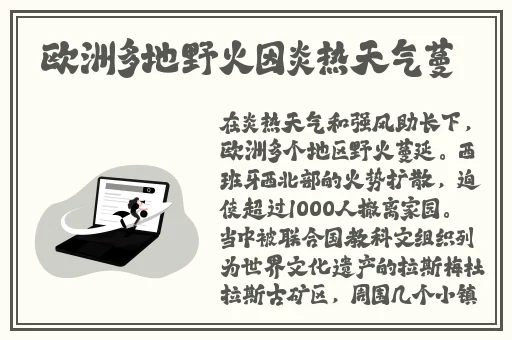 好吊妞视频在线新观看